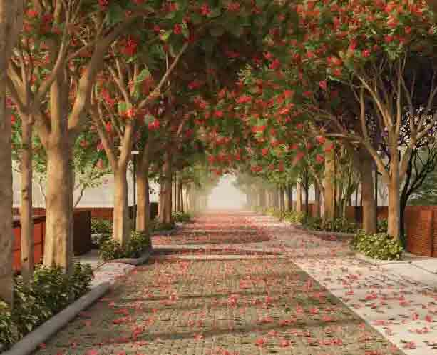 Godrej Plots Doddaballapur